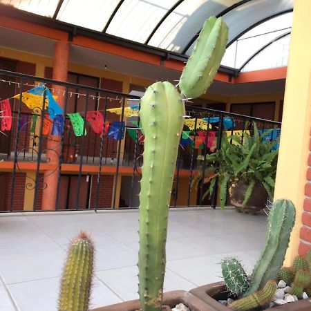 Hotel La Cascada Oaxaca Exterior photo